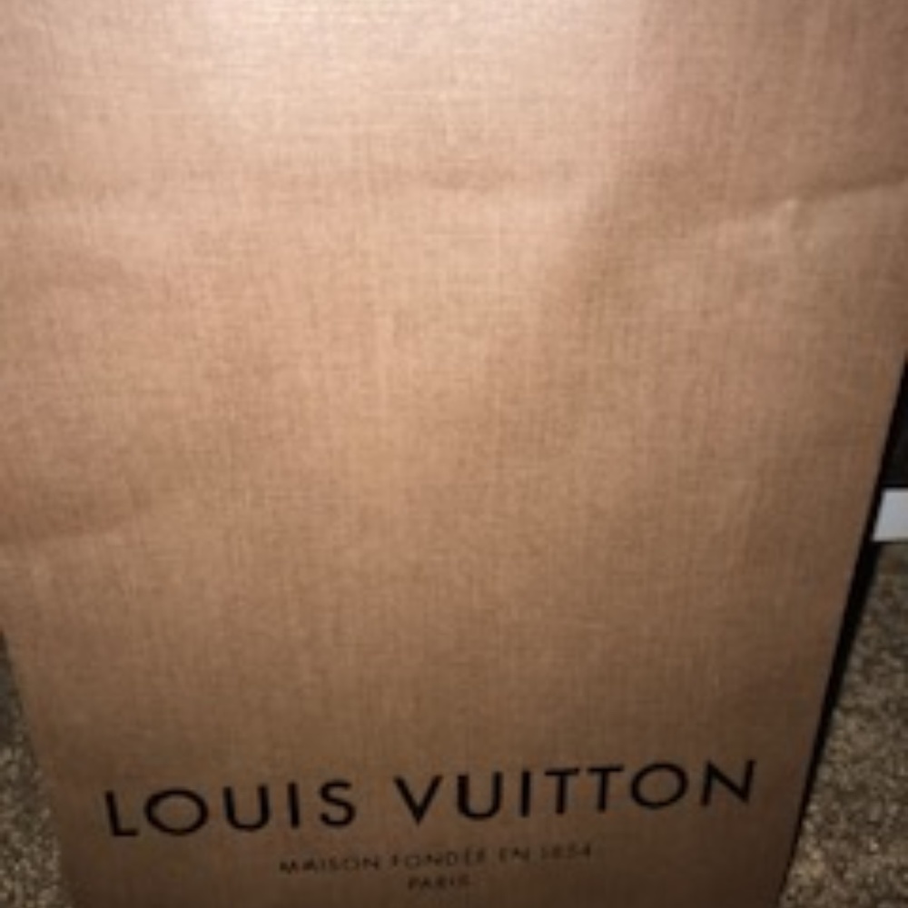 Louis Vuitton shopping bag